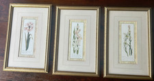 Vintage Set Of Three Botanical