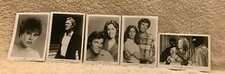 knots landing  (5) 5x7 press