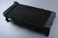 Water Radiator OEM Style