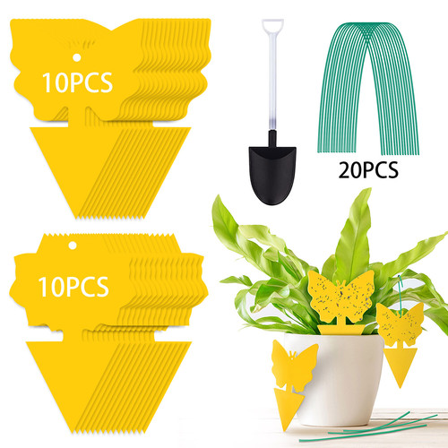 41pcs fruit fly - 41pcs,