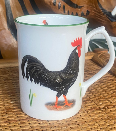 Bentley sanderson cockerel - bentley,