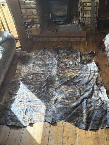 Large brindle nguni - brindle,