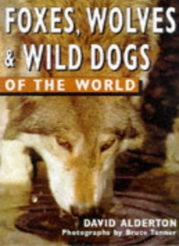 Foxes wolves and wild dogs - foxes,,