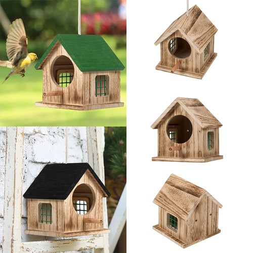 Hanging bird house feeding - hanging,