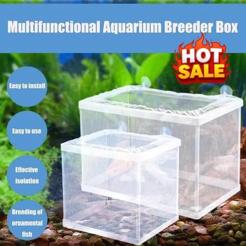 Aquarium fish tank guppy - fish,