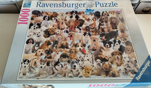 Ravensburger 1000 piece - 1000,