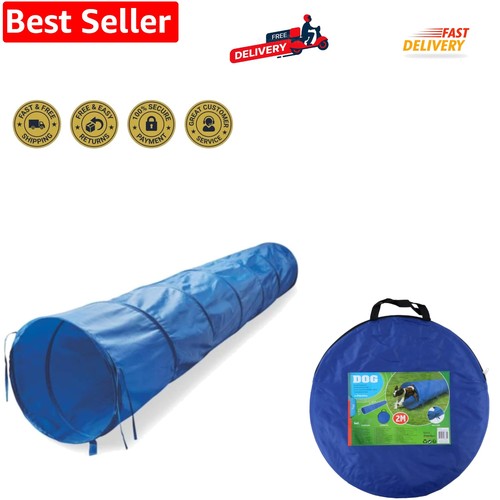 Agility for the - dog, dog