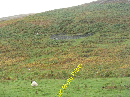 Photo 12x8 sheep shelter - photo,