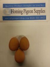 Eggs for Birds, Poultry, Parrot, Duck, Canary, Budgie, Pheasant & Pigeon etc