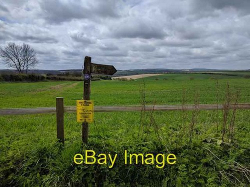 Photo 6x4 hare coursing - 6x4,