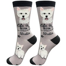 Westie  West Highland Terrier