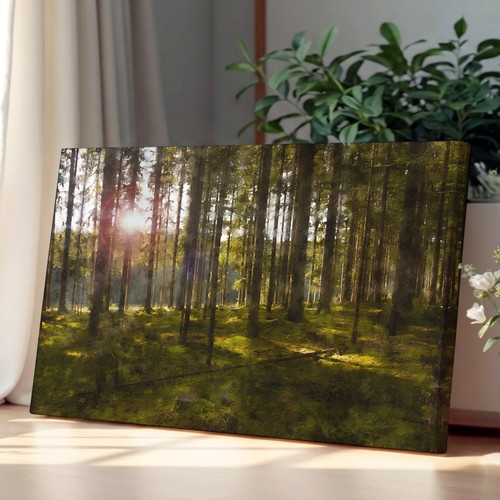 Sunlight forest canvas wall - forest,