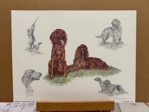 Nigel hemming red - hemming, setter