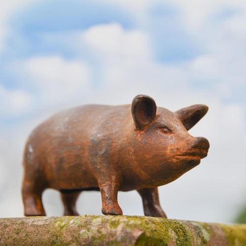 Miniature freestanding pig - miniature,