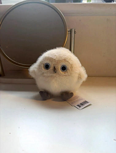 Jellycat snowy owl - snowy, plush