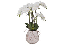 Huge Artificial Orchid Flower