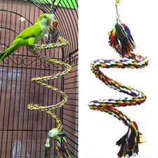 1PC Coil Swing Perch Parrot