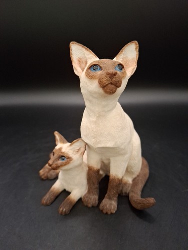 Leonardo siamese cat and - cat,