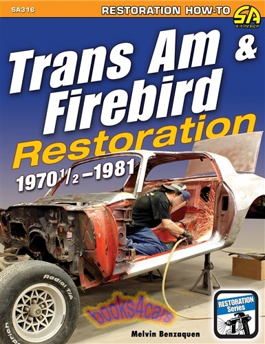 Firebird trans pontiac - firebird, am