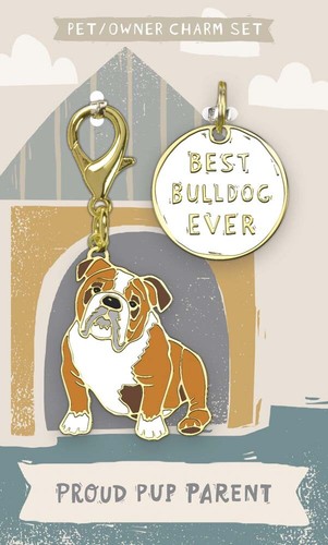 Bulldog collar tag and - tag, charm