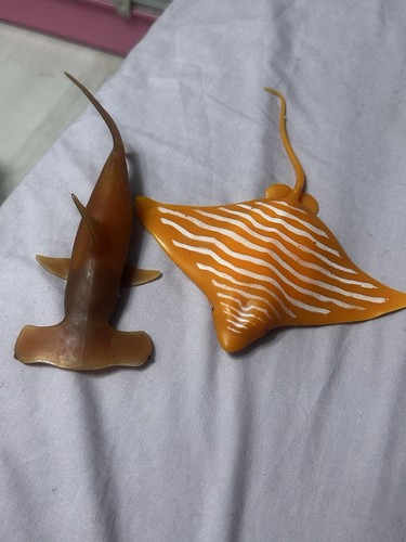 Sting ray and hammerhead - sting,