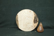 Elm Burr wood turning blanks