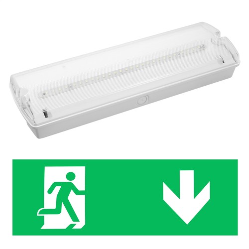 Led emergency ceiling light - emergency,