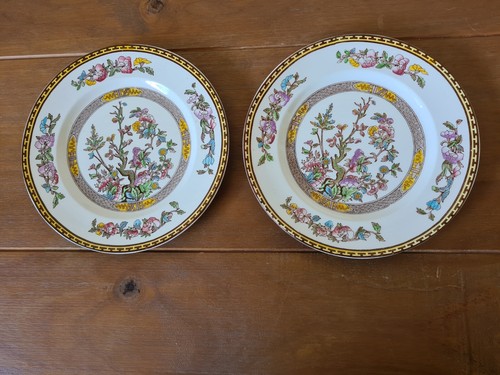 Washington pottery - 2, x
