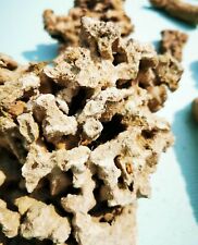 FIJI LIVE ROCK FOR MARINE REEF CORAL AQUARIUM REFUGIUM SALT WATER FISH TANK