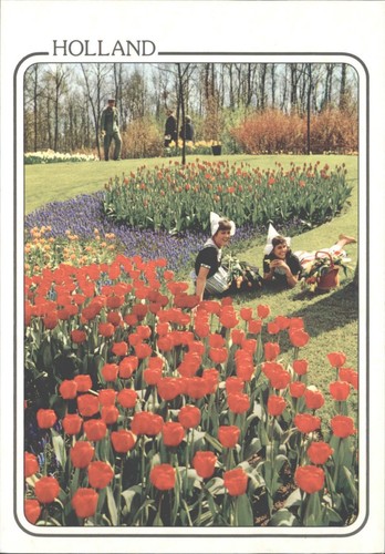 Vintage holland tulip fields - holland,