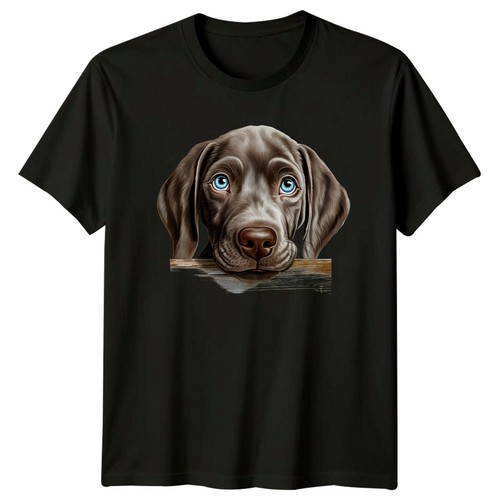 Cute weimaraner dog breed - weimaraner,