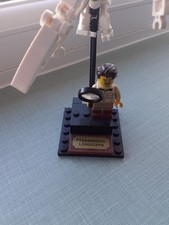 LEGO Ideas Palaeontologist minifigure Dinosaur Fossils set 21320 and dinosaur