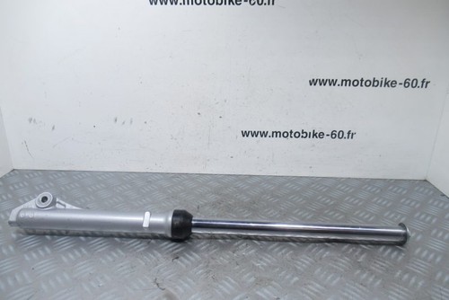 Right fork tube - right, coyote