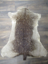 Small Deer Skin
