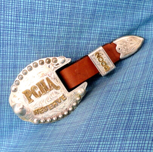 Pcha 2008 reserve - pcha,