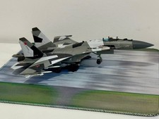 1/100 Russia Super Flanker
