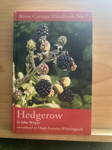 Hedgerow john wright 2014 - by,