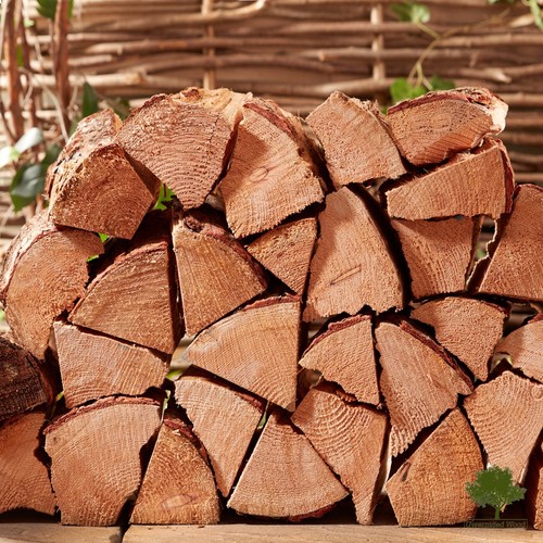 Softwood logs kiln - softwood,