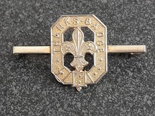 Silver Scouts Thanks Badge -