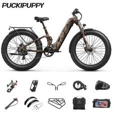 Electric Bike 960W, 48V 20AH