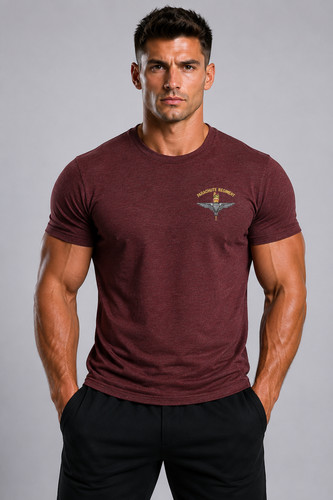 Para parachute regiment - 1/2/3,