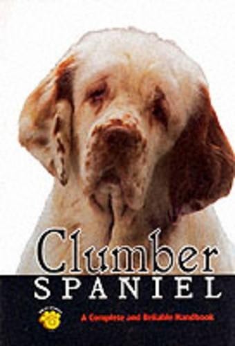 Clumber spaniel - spaniel, breed)