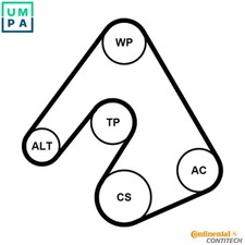 WATER PUMP + VRIBBED BELT KIT