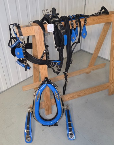 Trade diddy driving harness - trade,