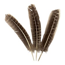 Turkey Feather, Natural, 9-11