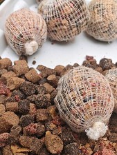 35-105 pre filled std bait filled with pellet boily crumb mix  + 50 carp boilies