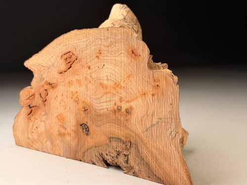 Burr elm live edge resin - burr,
