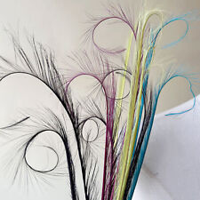 Colourful Curled Feathers for Fascinator and Millinery Party Hat Embellishment