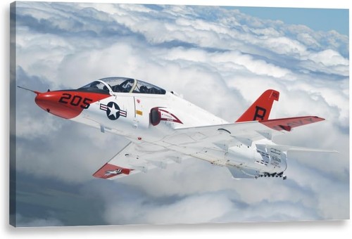 Military goshawk aircraft - military,