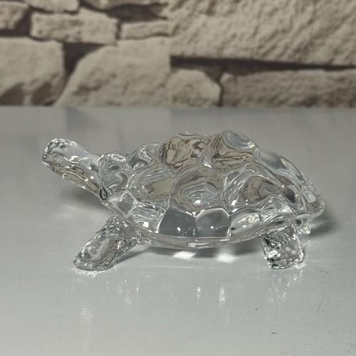 5cm long glass - glass, transparent